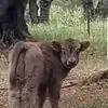 Jane Daugherty - @jane.daugherty - TikTok