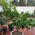 Jan Davey - @jdavey160 - Instagram