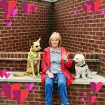 Jan Davison - @jan_davison - Instagram