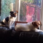 Jan Dawson - @jan.dawson.946 - Instagram