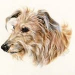 jan dawson - @jandawson2 - Instagram