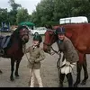 Jan Dawson - @jan.dawson4 - TikTok