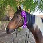 Jane Hoare - @jane.dawson.37051 - Instagram