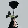 Jande - @jande1235 - TikTok
