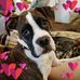 Janice Deardorff - Facebook