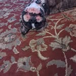 Janice Deardorff - @jdear5965 - Instagram