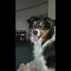 Janice Dearth - @janice.dearth2 - TikTok