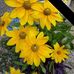 Jan Deaton - Facebook