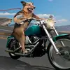 Jana Deaton Fan#1 - @jana.deaton.fan1 - TikTok