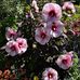Jan Dubell - Facebook