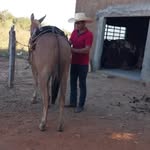 Jandecarlos Gomesdasilva - @jandecarlosgomesdasilva - Instagram