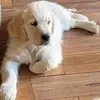 Jan Delaney - @jan.delaney - TikTok