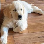 Jan Delaney - @janette1428 - Instagram