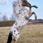 Jan Demas - @jan.demas.14 - Instagram