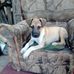 Jan Demas - Facebook