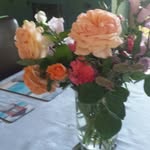 Jan Dennison - @jandennison14 - Instagram