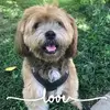 Jane Benes Denton - @janebenesdenton - TikTok
