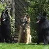 janedenton836 - @janedenton836 - TikTok