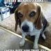 Janet DeSimone - Facebook