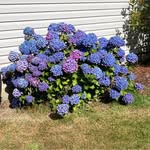 Jan DeVore - @devorejan - Instagram