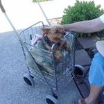 Jan Baty Dodson - @nkdmom - Instagram