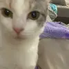 Jan Doe - @jan.doe75 - TikTok