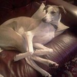 Jan Donaldson - @jdona0196 - Instagram