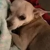 Jane Dougherty - @jane.dougherty - TikTok
