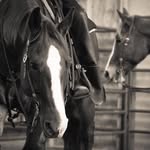 Jan Duncan - @jan.duncan.77 - Instagram