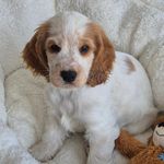 Janice Duncan - @jan_duncan - Instagram