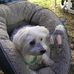 Jan Dutton - Facebook
