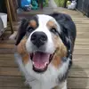 janinedymond363 - @janinedymond363 - TikTok