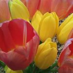 Jan Eaton - @jdjgeaton - Instagram