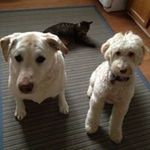 Jan Eaton Rubush - @eatonrubush - Instagram