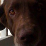 @janeaton - Instagram