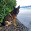 jan eberle975 - @ringo234567 - TikTok