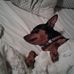 Jan Eckstein - Facebook