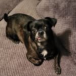 Janet Provorse Edenfield - @jan.edenfield - Instagram