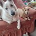 Jan Eder - Facebook