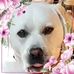 Jan Edmonds - Facebook