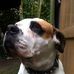 Jan Egbers - Facebook