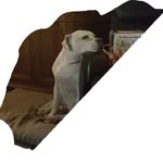 Jan Egbers - @jan.egbers.754 - Instagram