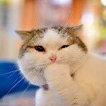 @jan_eilers99 - Instagram