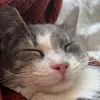 Jane - @jane_eilers - TikTok