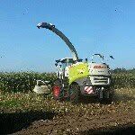 Scorpion7055 - @jan__eilers03 - Instagram