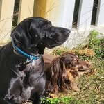 Jan Eisenberg - @jan_eisenberg_ - Instagram