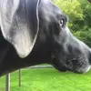 janeisenberg8 - @janeisenberg8 - TikTok