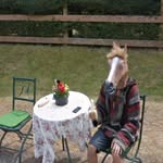 it's_my_life_janeisner - @eisner_jan - Instagram
