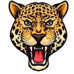 Jane B. Eisner - @jaguarfam - Instagram