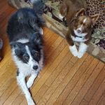 Jane Deters Heisner - @janeheisner9waaaaaaahsaaaad - Instagram